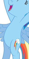 Size: 603x1220 | Tagged: safe, artist:chubble-munch, edit, imported from derpibooru, vector edit, rainbow dash, pegasus, pony, belly, bipedal, cropped, open mouth, pictures of bellies, simple background, smiling, solo, standing up, transparent background, vector