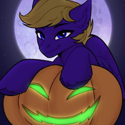 Size: 2048x2048 | Tagged: safe, artist:enderbee, imported from derpibooru, oc, oc:wing front, pegasus, pony, blue eyes, commission, halloween, happy, holiday, pegasus oc, pumpkin, smiling, solo, stars, wings, ych result