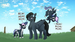 Size: 5000x2787 | Tagged: safe, artist:queen-razlad, imported from derpibooru, oc, oc only, oc:noble six, pegasus, pony, unicorn, annoyed, blue sky, dialogue, female, mother and child, mother and daughter, scenery