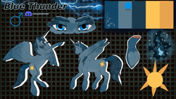 Size: 1280x720 | Tagged: artist needed, source needed, safe, imported from derpibooru, oc, oc:blue thunder, alicorn, reference sheet, solo