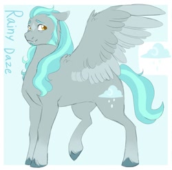 Size: 1730x1716 | Tagged: safe, artist:abbytabbys, imported from derpibooru, oc, oc only, oc:rainy daze, pegasus, pony, coat markings, colored wings, colored wingtips, cute, cute little fangs, facial markings, fangs, male, pegasus oc, reference sheet, sideburns, solo, stallion, star (coat marking), unshorn fetlocks, wings