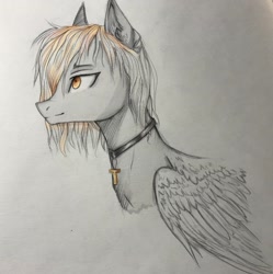 Size: 1528x1535 | Tagged: safe, artist:hysteriana, imported from derpibooru, oc, oc:morning mist, pegasus, collar, cross, feathered wings, folded wings, gift art, gray coat, male, orange eyes, orange mane, pegasus oc, sketch, stallion, traditional art, wings, wings down