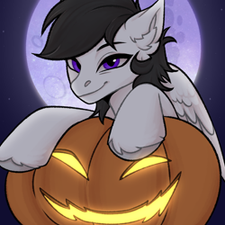 Size: 2048x2048 | Tagged: safe, artist:enderbee, imported from derpibooru, oc, oc:ash farwind, pegasus, pony, commission, halloween, happy, holiday, pegasus oc, pumpkin, smiling, solo, stars, wings, ych result