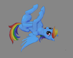 Size: 1701x1360 | Tagged: safe, artist:rapt, imported from derpibooru, rainbow dash, pegasus, pony, gray background, lying down, on back, open mouth, simple background, solo, spread wings, wings