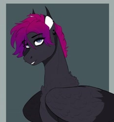 Size: 2932x3131 | Tagged: safe, artist:inisealga, imported from derpibooru, oc, oc only, oc:fae lagoon, hybrid, kelpie, pegasus, pony, bust, chest fluff, female, folded wings, mare, neck fluff, portrait, solo, wings