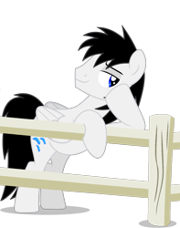 Size: 4000x5080 | Tagged: safe, artist:creedyboy124, imported from derpibooru, oc, oc only, oc:shane park, pegasus, fence, flirting, male, pegasus oc, simple background, smiling, solo, stallion, transparent background, wings