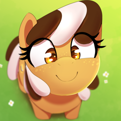 Size: 1000x1000 | Tagged: safe, artist:thebatfang, oc, oc:s'mare, earth pony, food pony, original species, pony, blurry background, boopable, cute, flower, food, grass, high angle, looking at you, looking up, looking up at you, ponified, s'mores pony, smiling, solo