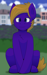 Size: 1300x2067 | Tagged: safe, artist:brushwork, imported from derpibooru, oc, oc only, oc:wing front, pegasus, background, blue eyes, brown mane, brown tail, chest fluff, city, crossed legs, front view, grass, mountain, pegasus oc, purple fur, sitting, tail, wings