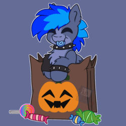 Size: 1048x1048 | Tagged: safe, artist:bluemoon, imported from derpibooru, oc, oc:proffy floyd, pony, animated, bag, candy, candy bag, commission, eating, food, gif, halloween, holiday, munching, nightmare night, nom, solo, your character here