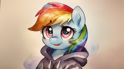 Size: 960x536 | Tagged: safe, imported from derpibooru, rainbow dash, pegasus, pony, ai content, ai generated, clothes, cute, hoodie
