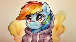 Size: 960x536 | Tagged: safe, imported from derpibooru, rainbow dash, pegasus, pony, ai content, ai generated, clothes, cute, hoodie