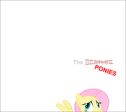 Size: 2102x1879 | Tagged: safe, artist:beatlebrony, imported from derpibooru, fluttershy, pegasus, pony, album cover, female, mare, solo, the beatles, the white album