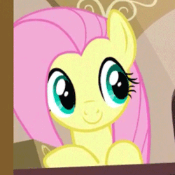 Size: 275x275 | Tagged: safe, edit, edited screencap, imported from derpibooru, screencap, fluttershy, pony, animated, gif, solo, wat