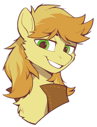 Size: 1503x1963 | Tagged: safe, artist:breloomsgarden, imported from derpibooru, braeburn, earth pony, pony, bust, grin, hatless, icon, looking at you, male, missing accessory, portrait, smiling, smiling at you, solo, stallion