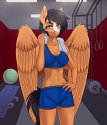 Size: 2400x2800 | Tagged: safe, artist:enderbee, imported from derpibooru, oc, anthro, pegasus, barbell, black hair, clothes, gray eyes, lamp, rug, scar, shorts, solo, sports bra, sports outfit, sports shorts, sweat, sweatdrop, sweatdrops, towel, weights, wings