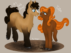 Size: 4000x3000 | Tagged: safe, artist:loopina, imported from derpibooru, oc, oc:onyx, oc:tulipe, earth pony, duo, female, male, poctober, siblings, simple background, transparent background, twins
