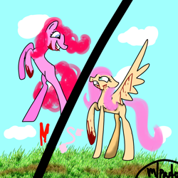 Size: 1000x1000 | Tagged: safe, artist:cakierblx, imported from derpibooru, fluttershy, pinkie pie, earth pony, pegasus, pony, smile hd, 1000 hours in ms paint, female, smiling, split screen, two sides