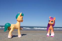 Size: 1095x730 | Tagged: safe, artist:dingopatagonico, imported from derpibooru, hitch trailblazer, sunny starscout, earth pony, argentina, beach, butt, g5, my little pony: a new generation, photo, plot, toy