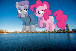 Size: 1600x1067 | Tagged: safe, artist:cencerberon, artist:dashiesparkle, edit, editor:jaredking779, imported from derpibooru, maud pie, pinkie pie, earth pony, pony, boston, duo, female, giant pony, giantess, highrise ponies, irl, macro, mare, massachusetts, photo, pie sisters, ponies in real life, siblings, sisters, smiling, story included, when she smiles