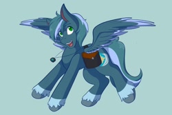 Size: 2048x1366 | Tagged: safe, artist:mscolorsplash, imported from derpibooru, oc, oc only, pegasus, pony, bag, cel shading, coat markings, green background, jewelry, male, necklace, open mouth, open smile, saddle bag, shading, simple background, smiling, socks (coat markings), solo, spread wings, stallion, unshorn fetlocks, wings