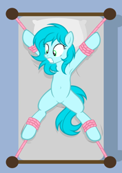 Size: 4227x5960 | Tagged: safe, artist:equestria secret guard, imported from derpibooru, oc, oc only, oc:suxuan, oc:素萱, earth pony, pony, bed, belly, belly button, bondage, earth pony oc, featureless crotch, female, gritted teeth, helpless, kidnapped, lying down, mare, on back, on bed, restrained, rope, rope bondage, scared, sexy, spread eagle, spread legs, spreading, teeth, tied down, tied to bed, tied up