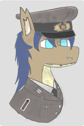 Size: 755x1127 | Tagged: safe, artist:traumatisedaxolotl, imported from derpibooru, oc, oc:tea stew, bat pony, bust, clothes, east germany, hat, military uniform, peaked cap, portrait, simple background, uniform