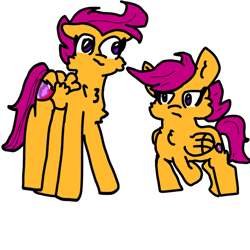 Size: 1000x1000 | Tagged: safe, artist:sweetsterty, imported from derpibooru, scootaloo, pegasus, pony, cheek fluff, chest fluff, cutie mark, female, filly, foal, mare, older, older scootaloo, self paradox, self ponidox, simple background, size difference, the cmc's cutie marks, white background