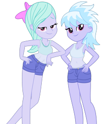 Size: 2093x2574 | Tagged: safe, artist:thatusualguy06, derpibooru exclusive, imported from derpibooru, cloudchaser, flitter, equestria girls, .svg available, bow, clothes, duo, duo female, equestria girls-ified, female, hair bow, hand on hip, siblings, simple background, sisters, svg, tanktop, transparent background, vector