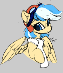 Size: 730x845 | Tagged: safe, artist:aurorafang, imported from derpibooru, oc, oc only, pegasus, pony, pegasus oc, solo, wings