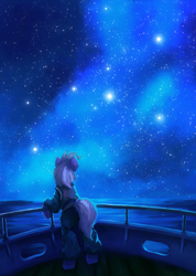Size: 2140x3000 | Tagged: safe, artist:terrafomer, imported from derpibooru, oc, oc only, earth pony, pony, fanfic:звёзды, clothes, earth pony oc, fanfic art, male, night, ocean, ship, sky, solo, stallion, stars, water