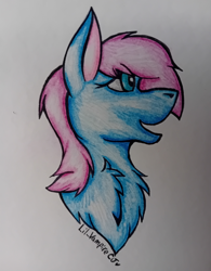 Size: 1562x2000 | Tagged: safe, artist:lil_vampirecj, imported from derpibooru, oc, oc only, earth pony, pony, bust, chest fluff, female, fluffy, fully shaded, fur, mane, mare, open mouth, portrait, simple background, solo, traditional art, white background