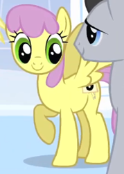 Size: 201x281 | Tagged: safe, imported from derpibooru, screencap, lucky clover, parasol, pegasus, pony, season 1, sonic rainboom (episode), animation error, closed mouth, cropped, female, g4, male, mare, raised hoof, smiling, solo focus, spread wings, stallion, standing, wings