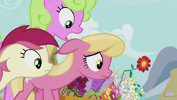 Size: 1920x1080 | Tagged: safe, imported from derpibooru, daisy, flower wishes, lily, lily valley, roseluck, earth pony