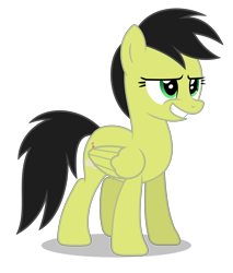 Size: 3400x3993 | Tagged: safe, artist:creedyboy124, imported from derpibooru, oc, oc only, oc:sadie park, pegasus, female, simple background, smiling, solo, transparent background, vector