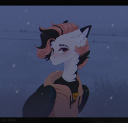 Size: 5350x5154 | Tagged: safe, artist:cherebushek, imported from derpibooru, oc, oc only, pegasus, pony, absurd file size, clothes, coat markings, ear fluff, eyebrow slit, eyebrows, hoodie, snow, solo