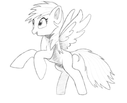 Size: 3072x2500 | Tagged: safe, artist:maonyman, imported from derpibooru, rainbow dash, pegasus, pony, black and white, digital art, female, grayscale, happy, mare, monochrome, open mouth, pencil, practice, rearing, reference used, shading, simple background, smiling, solo, spread wings, white background, wings