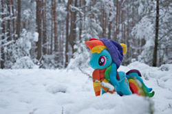 Size: 1280x850 | Tagged: safe, artist:mgrdash, imported from derpibooru, rainbow dash, pegasus, pony, clothes, irl, photo, plushie, ponies in real life, snow, winter, winter outfit, winterforest