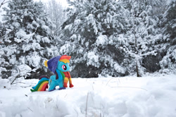 Size: 1280x850 | Tagged: safe, artist:mgrdash, imported from derpibooru, rainbow dash, pegasus, pony, clothes, photo, plushie, snow, winter, winter outfit