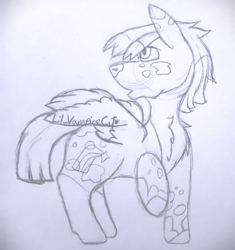 Size: 1880x2000 | Tagged: safe, artist:lil_vampirecj, imported from derpibooru, oc, oc only, pegasus, pony, chest fluff, feral, fluffy, full body, fur, hair, hooves, male, mane, my little pony, neck fluff, simple background, sketch, solo, tail, tail fluff, traditional art, white background, wings