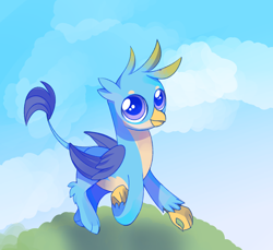 Size: 1940x1780 | Tagged: safe, artist:aureate serene, derpibooru exclusive, imported from derpibooru, gallus, griffon, big eyes, cloud, grass, grass field, green sky, happy, hill, joy, male, purple eyes, younger gallus