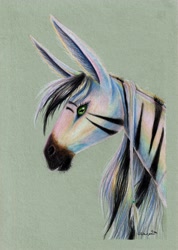 Size: 3477x4896 | Tagged: safe, artist:cahandariella, imported from derpibooru, oc, horse, zebra, bust, colored pencil drawing, female, looking at you, mare, portrait, realistic, solo, traditional art