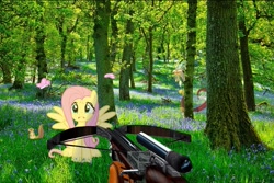 Size: 719x480 | Tagged: safe, edit, edited edit, editor:karmainic, imported from derpibooru, angel bunny, discord, fluttershy, butterfly, pegasus, squirrel, arrow, crossbow, editor, exploitable meme, flower, frown, hunting, imminent shooting, irl, meme, moss, nature, nature is so fascinating, obligatory pony, outdoors, photo, photoshop, puppy dog eyes, scared, shadow, sunshine, tree, weapon