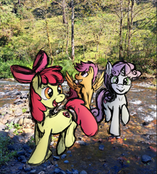 Size: 1723x1907 | Tagged: safe, artist:blankedsoul, imported from derpibooru, apple bloom, scootaloo, sweetie belle, earth pony, pegasus, pony, unicorn, cmc day, cutie mark crusaders, female, filly, foal, irl, photo, ponies in real life