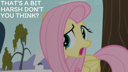 Size: 2000x1125 | Tagged: safe, edit, edited screencap, editor:quoterific, imported from derpibooru, screencap, fluttershy, bats!, solo