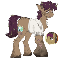 Size: 1000x1000 | Tagged: safe, artist:kazmuun, imported from derpibooru, snap shutter, earth pony, pony, back freckles, bags under eyes, body freckles, butt fluff, cheek fluff, chest fluff, chin fluff, clothes, colored eartips, colored hooves, dirty, eye scar, facial scar, freckles, g4, leaves, leaves in hair, leg fluff, leg freckles, leg scar, male, raised hoof, scar, scarred, scruffy, shirt, simple background, solo, stallion, standing, torn ear, transparent background, twigs in hair, unshorn fetlocks