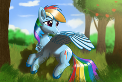 Size: 3072x2048 | Tagged: safe, artist:maonyman, imported from derpibooru, rainbow dash, pegasus, pony, apple, chest fluff, cloud, colored hooves, colored wings, cutie mark, ear fluff, female, food, forest, forest background, g4, grass, lighting, lying down, mare, nature, on side, shading, sky, solo, spread wings, tree, turned head, two toned wings, wing fluff, wings