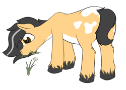 Size: 2740x1962 | Tagged: safe, artist:czaroslaw, imported from derpibooru, oc, earth pony, pony, male, munching, stallion