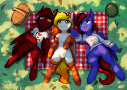 Size: 4453x3149 | Tagged: safe, imported from derpibooru, oc, oc:starfyre, pegasus, basket, clothes, grass, helmet, hoodie, leaves, lying down, picnic, picnic basket, picnic blanket, pointing, shirt, socks