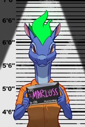 Size: 600x900 | Tagged: safe, artist:hitsuji, imported from derpibooru, anthro, dragon, hybrid, longma, them's fightin' herds, community related, looking at you, mane of fire, mugshot, solo, tianhuo (tfh)