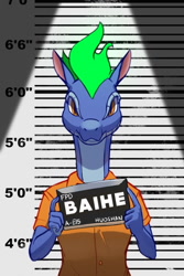 Size: 600x900 | Tagged: safe, artist:hitsuji, edit, imported from derpibooru, anthro, dragon, hybrid, longma, them's fightin' herds, baihe (tfh), community related, looking at you, mugshot, solo, tianhuo (tfh)